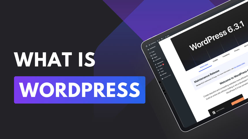 What is WordPress? Everything You Need to Know